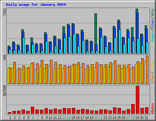 Daily usage for January 2024