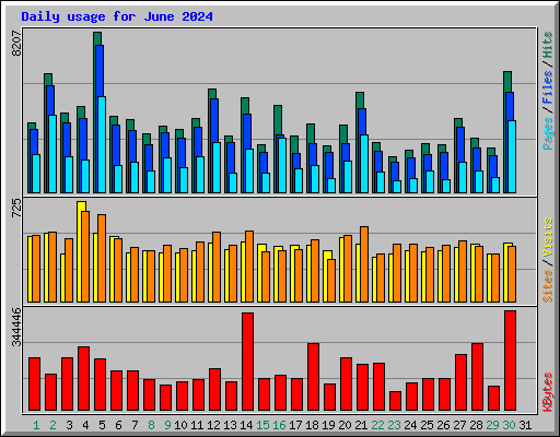 Daily usage for June 2024