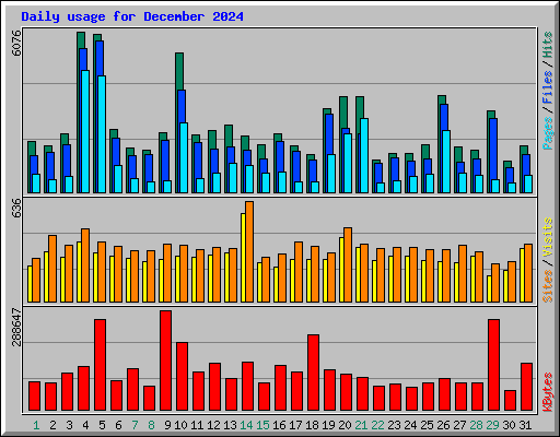 Daily usage for December 2024