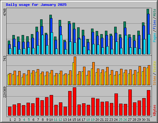 Daily usage for January 2025