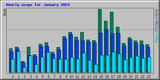 Hourly usage for January 2024