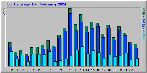 Hourly usage for February 2024