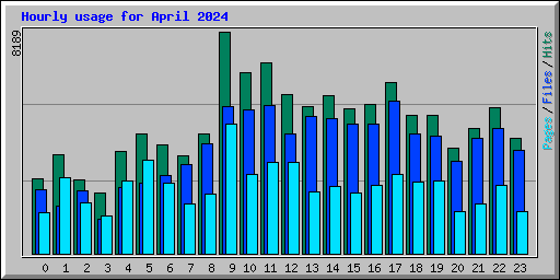 Hourly usage for April 2024