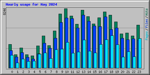 Hourly usage for May 2024