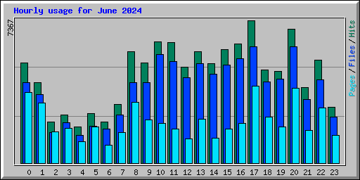 Hourly usage for June 2024