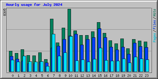 Hourly usage for July 2024