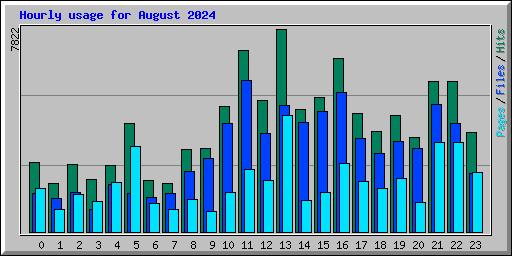 Hourly usage for August 2024