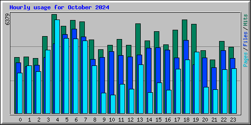 Hourly usage for October 2024