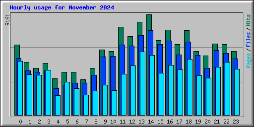 Hourly usage for November 2024