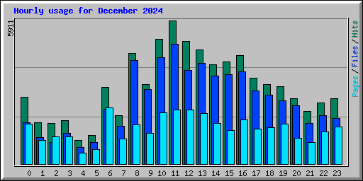 Hourly usage for December 2024