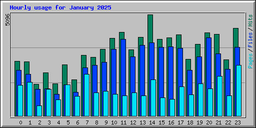 Hourly usage for January 2025