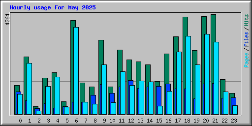 Hourly usage for May 2025