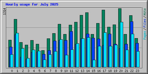 Hourly usage for July 2025