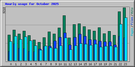 Hourly usage for October 2025