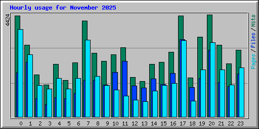 Hourly usage for November 2025