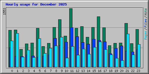 Hourly usage for December 2025