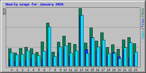 Hourly usage for January 2026