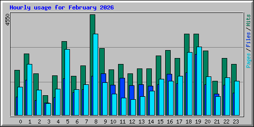 Hourly usage for February 2026